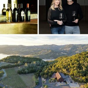 Winemaker Dinner: BRAND Vineyard Napa Valley